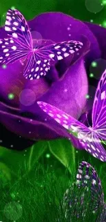 Purple butterflies and roses, vibrant mobile wallpaper.