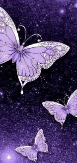 Purple butterflies sparkle in night sky wallpaper.