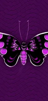 Purple butterfly wallpaper with intricate patterns and vibrant colors.