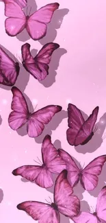 Purple butterflies on a pastel pink background creating a vibrant mobile wallpaper.