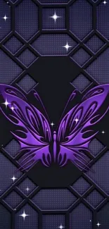 Purple butterfly with geometric patterns on a dark background.