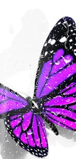 Purple butterfly with water droplets design.