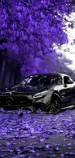 Black sports car under purple trees.