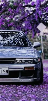 A classic car on a street covered in purple flowers, capturing vibrant and scenic beauty.