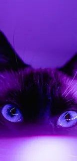 Purple cat eyes glowing in mobile wallpaper background.