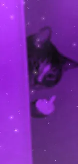 Cat peeking through door with a purple starry background.