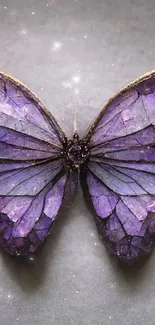 Purple crystal butterfly against a dark background.