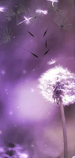 Purple dandelion dreamscape wallpaper with serene vibe.