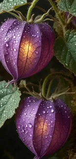 Purple leaves with dewdrops and a glowing effect.