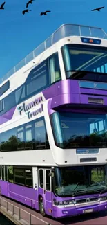 Vibrant double-decker bus with a purple theme under a clear blue sky.