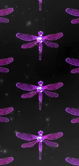 Purple dragonflies on black background wallpaper for mobile devices.