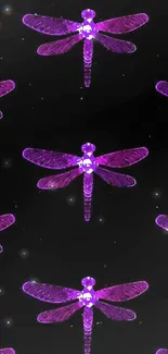 Purple dragonfly pattern on black background mobile wallpaper.