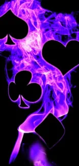 Purple flames with card symbols on black background.