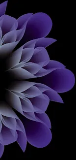 Purple abstract floral design with petals on black background.