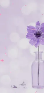 Delicate purple flower with bokeh background in soft lavender hues.