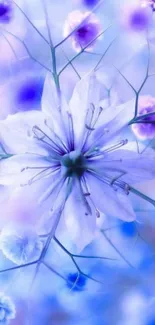 Purple flower wallpaper with delicate blossoms in soft hues.