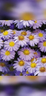 Purple flowers with yellow centers on a vibrant wallpaper.