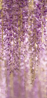 Lavender floral design with hanging blossoms in a dreamy pattern.