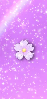 Purple wallpaper with a sparkling violet flower at the center.