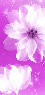 Purple floral wallpaper with soft petals.