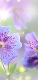 Delicate purple flowers with soft focus background in dreamy tones.