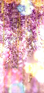 Mobile wallpaper with cascading purple wisteria in ethereal light.