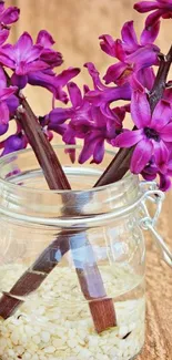 Vibrant purple flowers in a glass jar on wood.