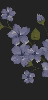 Purple floral wallpaper with dark background.