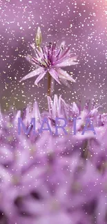 Purple flower bloom mobile wallpaper with vibrant colors.