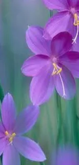 Purple flowers with green stems on a wallpaper.