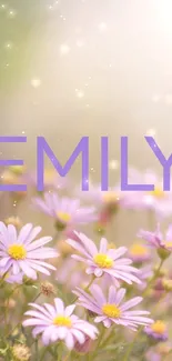 Lavender daisies in a soft, dreamy haze with 'EMILY' text overlay.