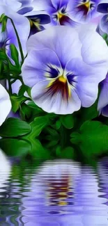 Vibrant purple pansies with reflection on water.