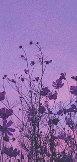 Purple floral sky with silhouetted flowers, perfect for mobile wallpapers.