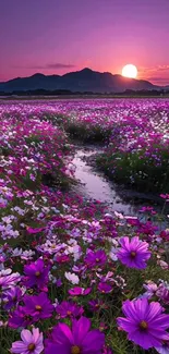 Purple flowers at sunset over a tranquil field with a distant mountain view.