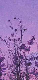 Silhouette of flowers against a purple sunset sky mobile wallpaper.