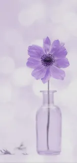 Aesthetic purple flower in a glass vase wallpaper.