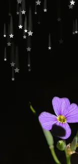 Purple flower with falling stars on dark background wallpaper.