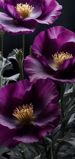 Elegant purple flowers with intricate petals.