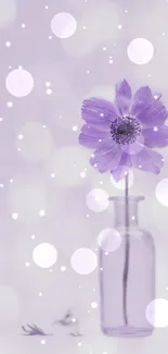 Purple flower in glass vase with bokeh effect background.