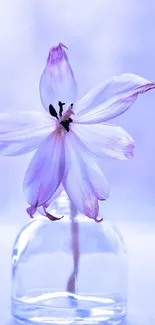 Elegant purple flower in a glass vase on a light background.