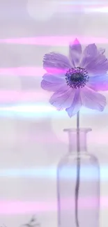 Delicate purple flower in a glass vase with soft pastel bokeh background.