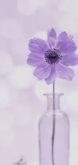 Purple flower in a glass vase with a dreamy bokeh background.