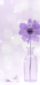 Purple flower in a glass vase against a dreamy lavender background.