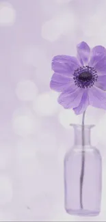 Light purple flower in a glass vase with bokeh background.