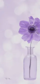 Purple flower in glass vase with bokeh background on mobile wallpaper.