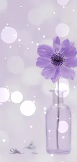 Purple flower in glass vase with bokeh background.