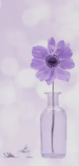 Purple flower in glass vase with bokeh background, mobile wallpaper.