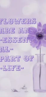 Purple flowers with inspirational text overlay.