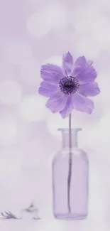 Purple flower in a vase with bokeh background on mobile wallpaper.