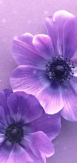 Elegant purple flower wallpaper with delicate petals.